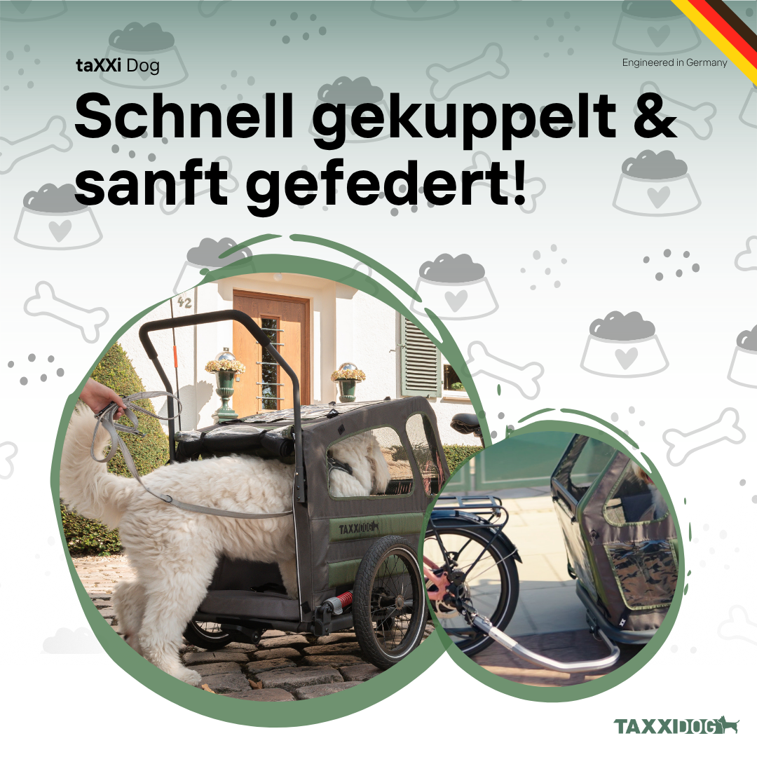 Hundeanhänger | DOG M