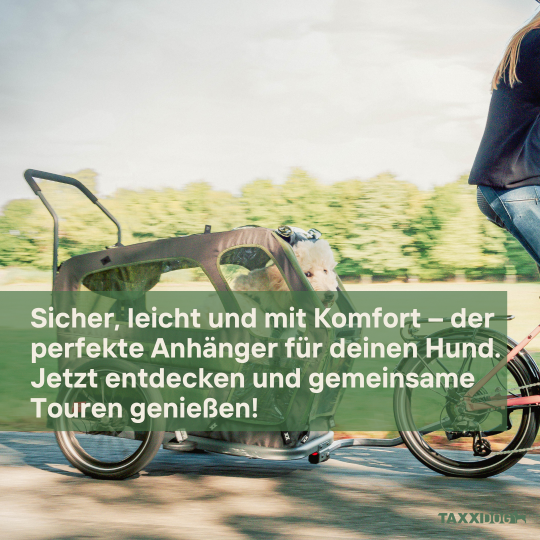 Hundeanhänger | DOG L