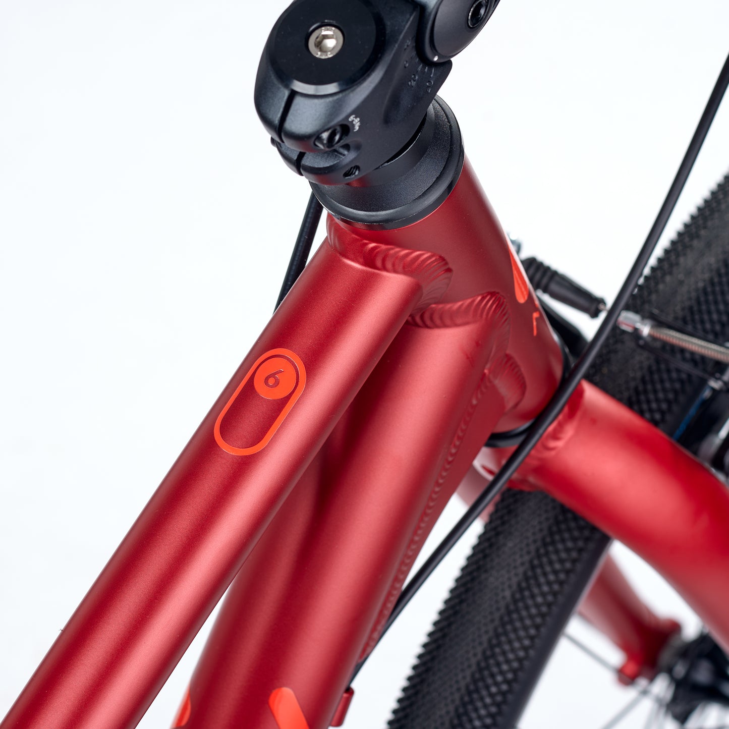 ACADEMY GRADE 6 belt - 26 Zoll Kinderfahrrad | ab 10 Jahre