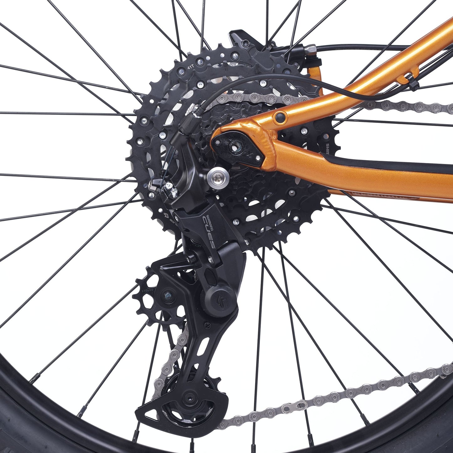 ACADEMY Trail 5 - 24 Zoll Jugendfahrrad | ab 8 Jahre