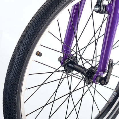 ACADEMY GRADE 4 belt - 20 Zoll Kinderfahrrad | ab 6 Jahre