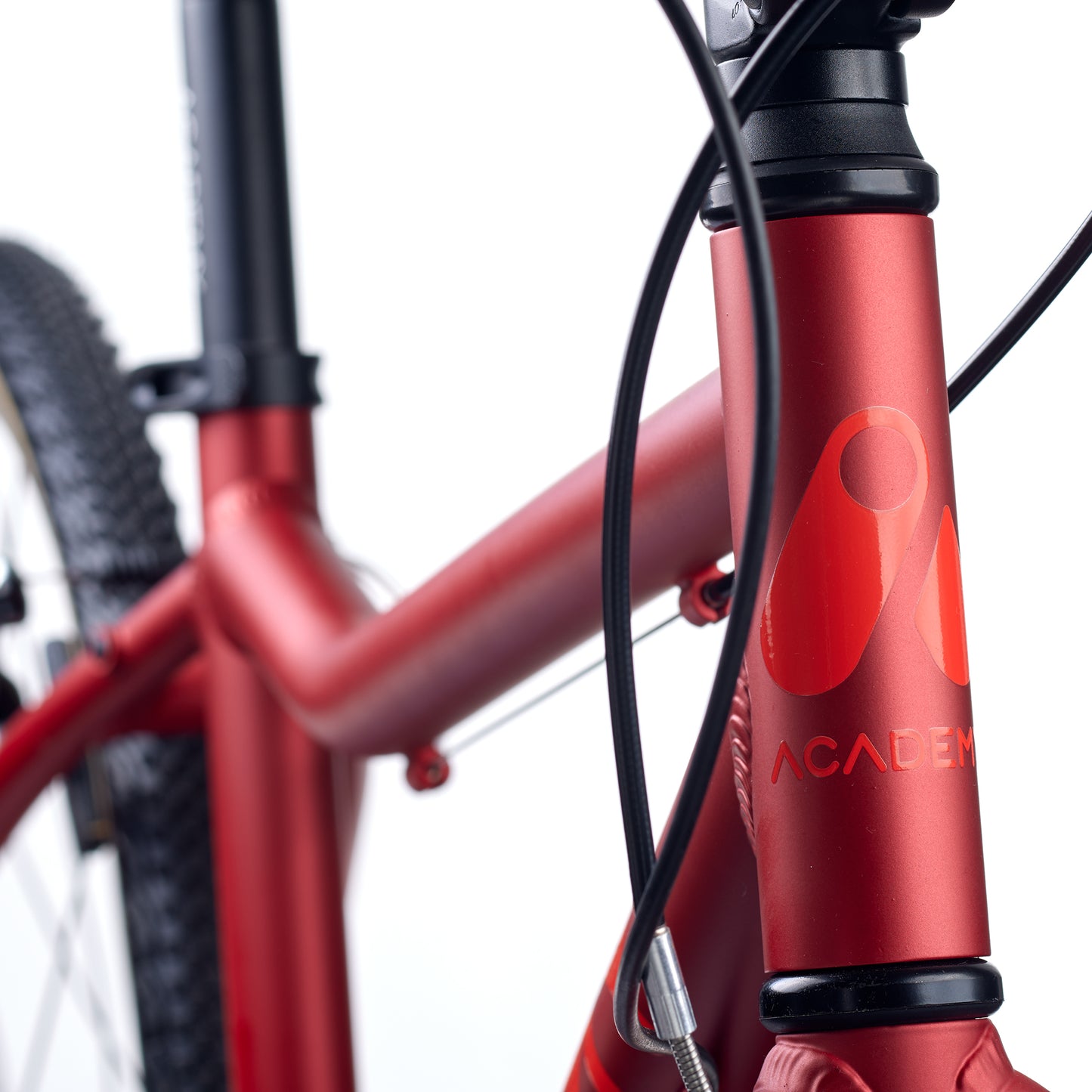 ACADEMY GRADE 5 - 24 Zoll Kinderfahrrad | ab 8 Jahre