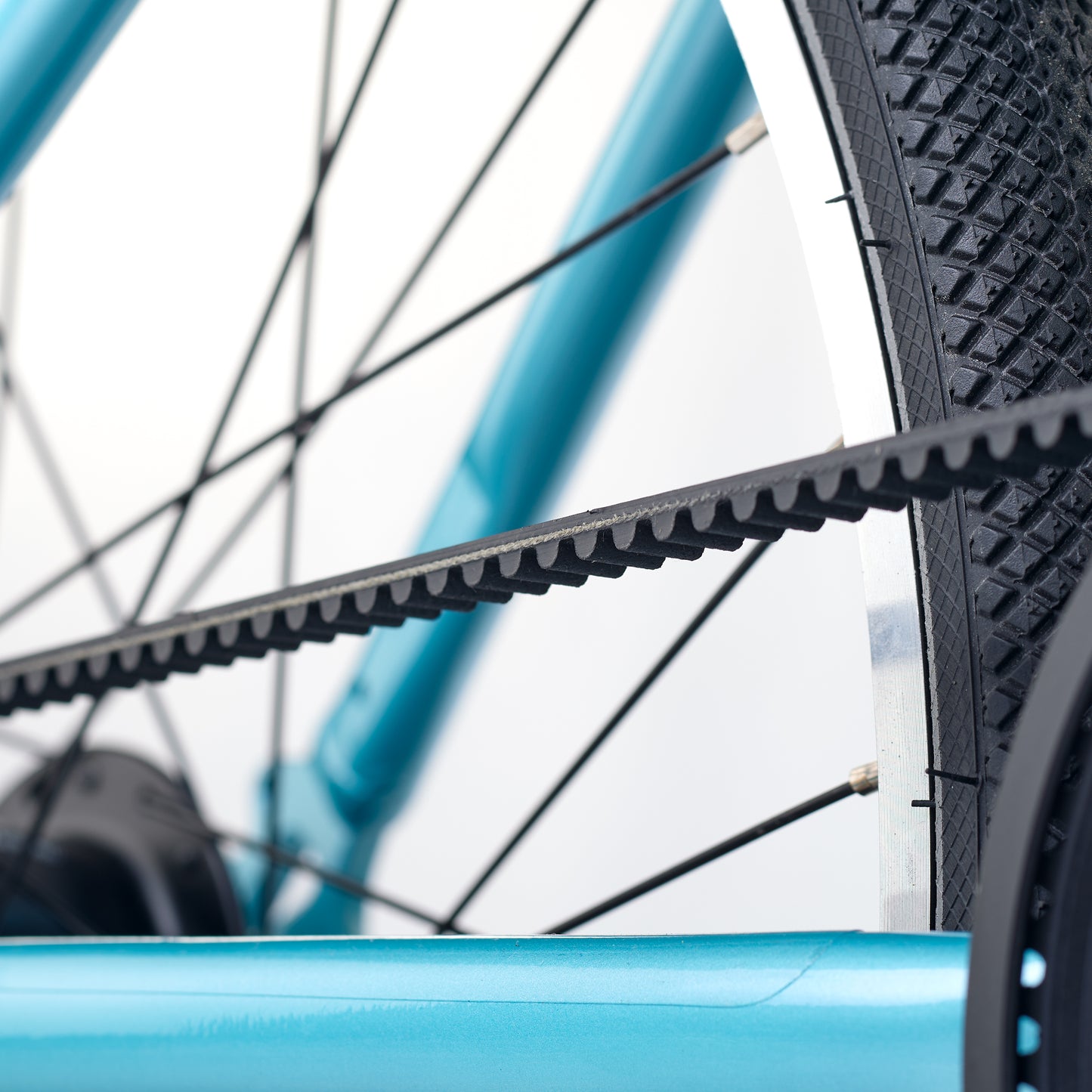 ACADEMY GRADE 5 belt - 24 Zoll Kinderfahrrad | ab 8 Jahre