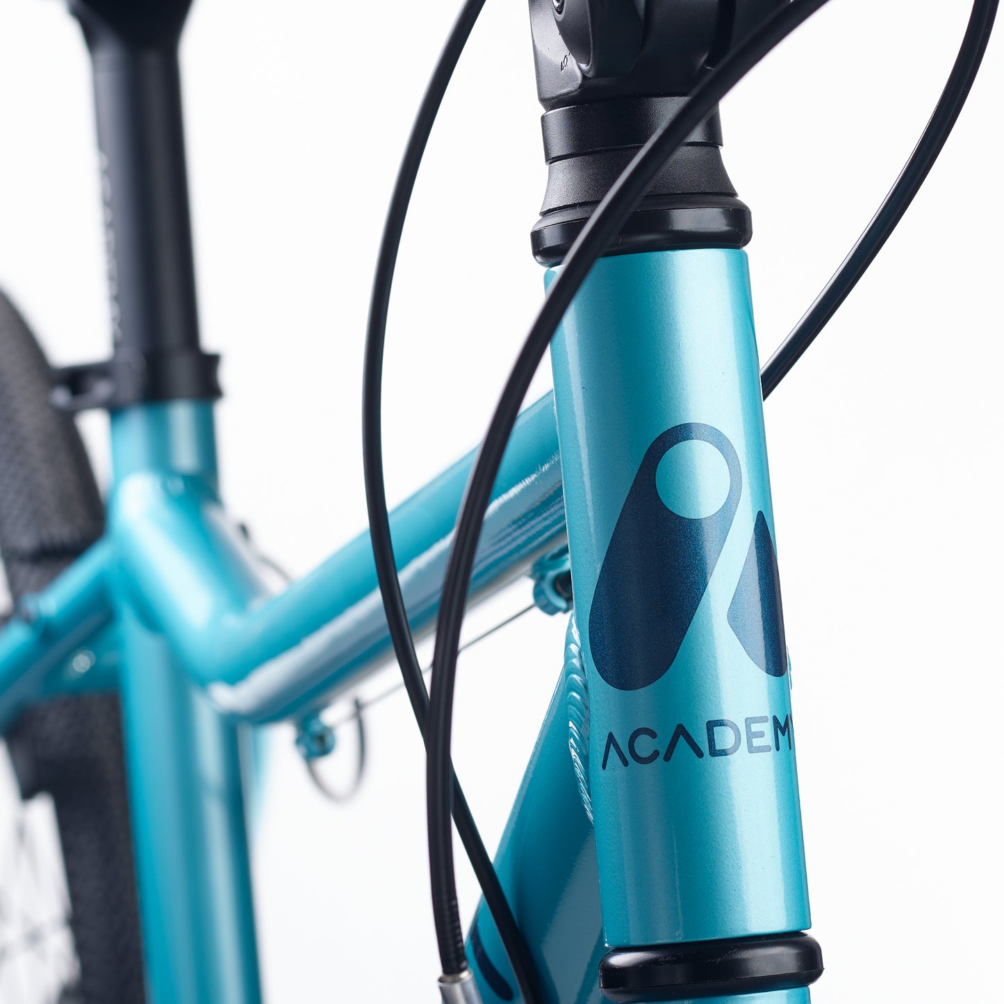 ACADEMY GRADE 5 belt - 24 Zoll Kinderfahrrad | ab 8 Jahre