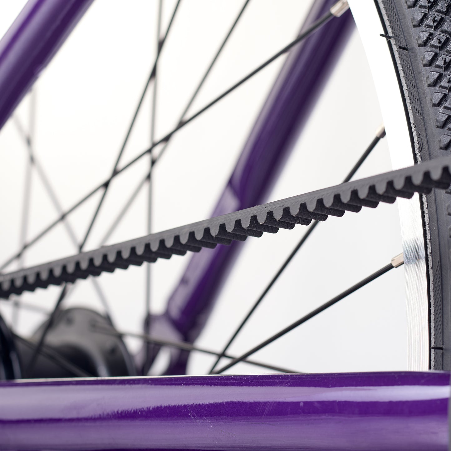 ACADEMY GRADE 5 belt - 24 Zoll Kinderfahrrad | ab 8 Jahre