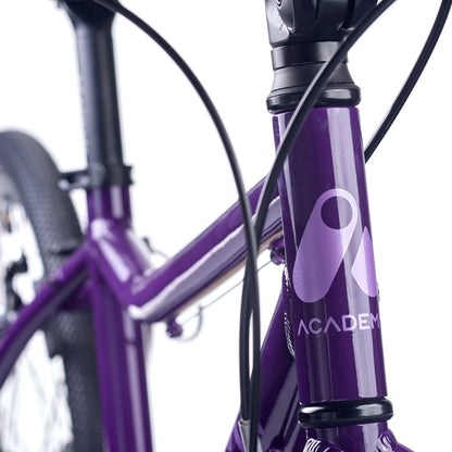 ACADEMY GRADE 5 belt - 24 Zoll Kinderfahrrad | ab 8 Jahre