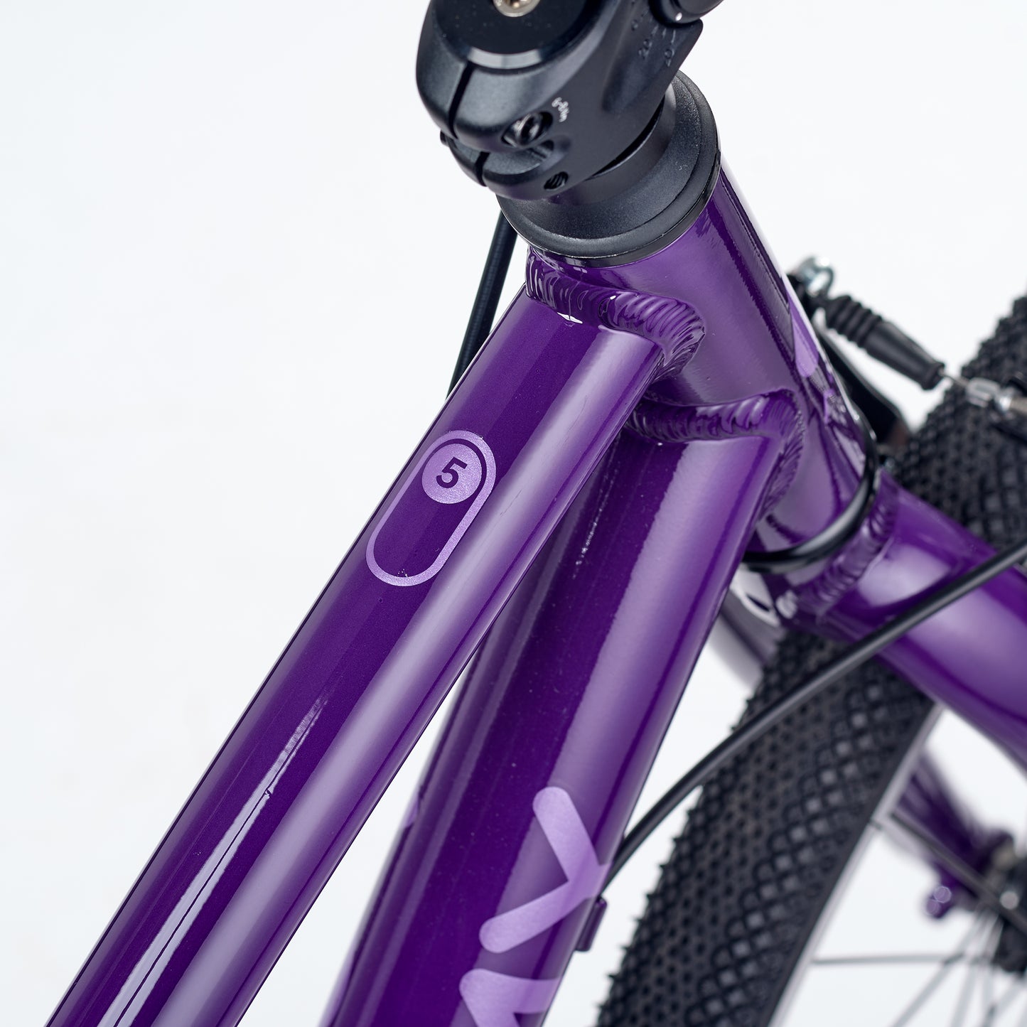 ACADEMY GRADE 5 belt - 24 Zoll Kinderfahrrad | ab 8 Jahre