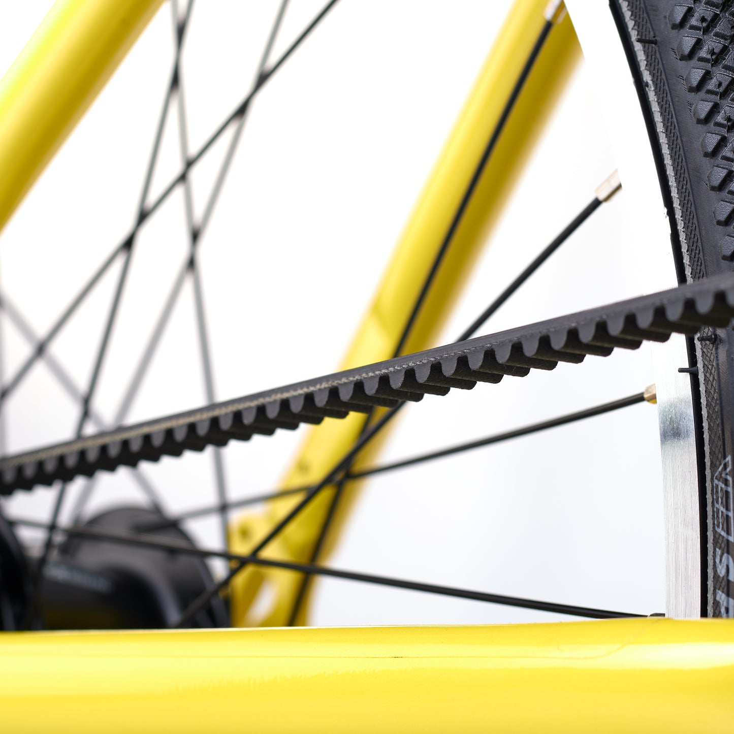 ACADEMY GRADE 5 belt - 24 Zoll Kinderfahrrad | ab 8 Jahre