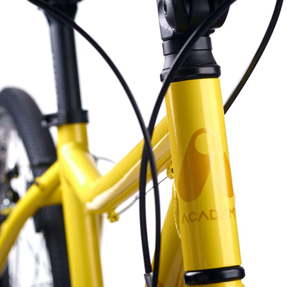 ACADEMY GRADE 5 belt - 24 Zoll Kinderfahrrad | ab 8 Jahre