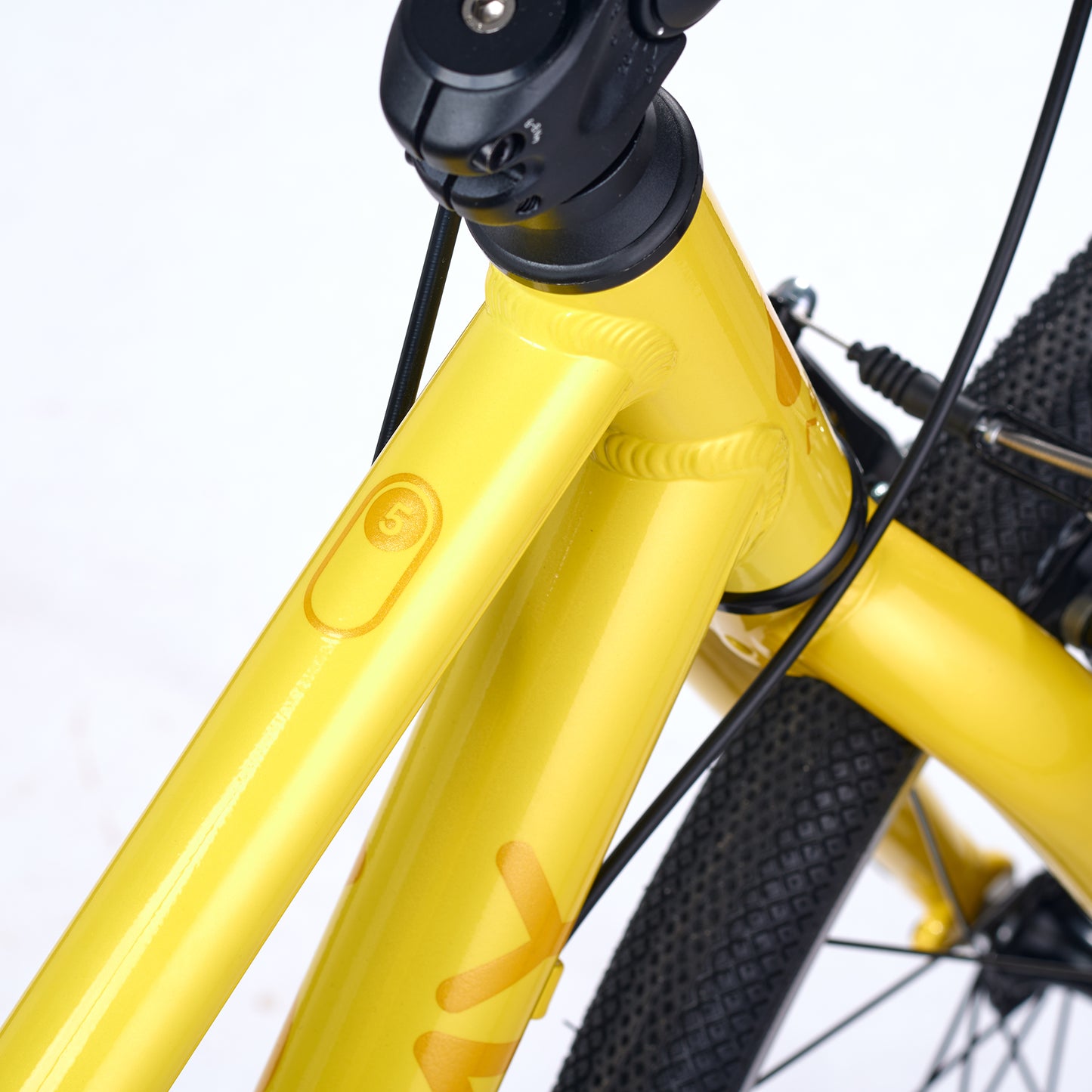 ACADEMY GRADE 5 belt - 24 Zoll Kinderfahrrad | ab 8 Jahre