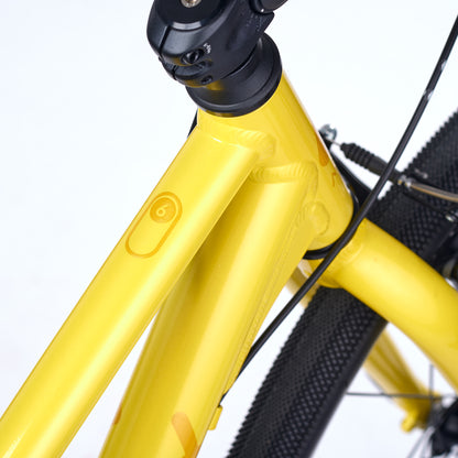 ACADEMY GRADE 6 belt - 26 Zoll Kinderfahrrad  | ab 10 Jahre