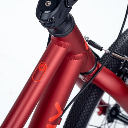 ACADEMY GRADE 4 belt - 20 Zoll Kinderfahrrad | ab 6 Jahre