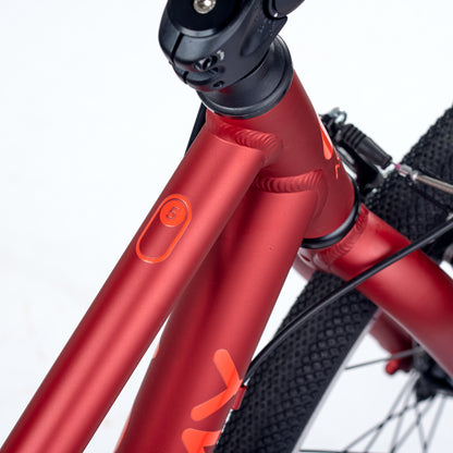 ACADEMY GRADE 5 belt - 24 Zoll Kinderfahrrad | ab 8 Jahre