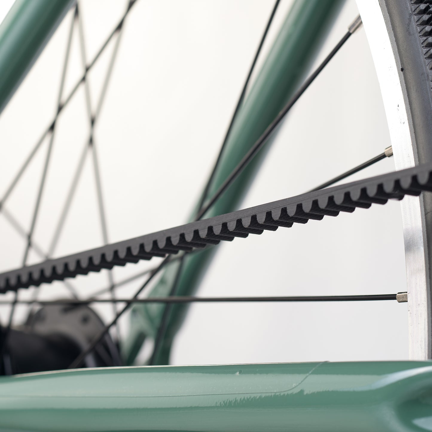 ACADEMY GRADE 6 belt - 26 Zoll Kinderfahrrad  | ab 10 Jahre