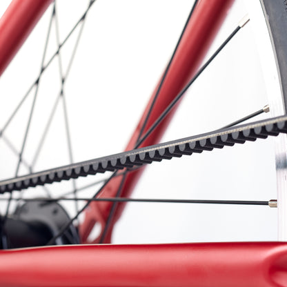 ACADEMY GRADE 6 belt - 26 Zoll Kinderfahrrad  | ab 10 Jahre