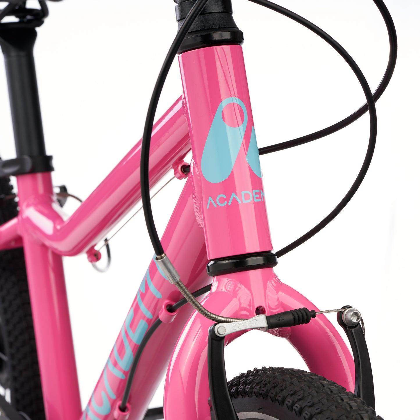 ACADEMY GRADE 4 belt - 20 Zoll Kinderfahrrad | ab 6 Jahre