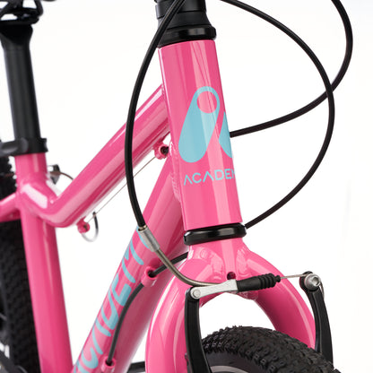 ACADEMY GRADE 4 belt - 20 Zoll Kinderfahrrad | ab 6 Jahre