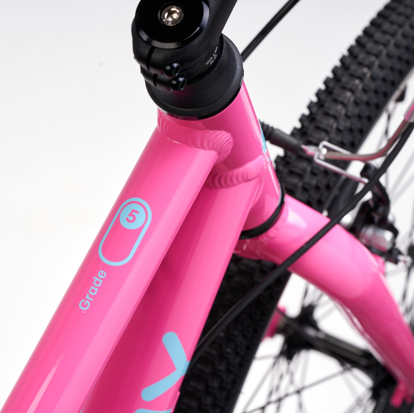 ACADEMY GRADE 5 belt - 24 Zoll Kinderfahrrad | ab 8 Jahre