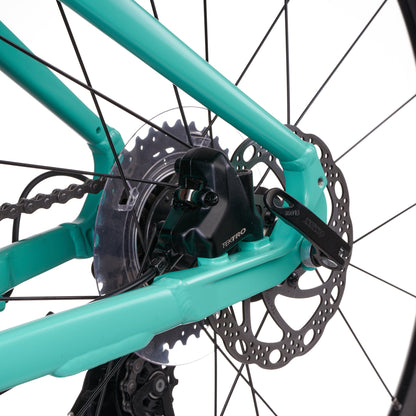 Mint